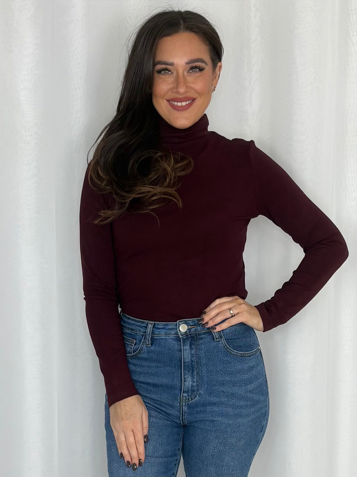 Soft Touch Fitted Roll Neck Top (4 Colours)
