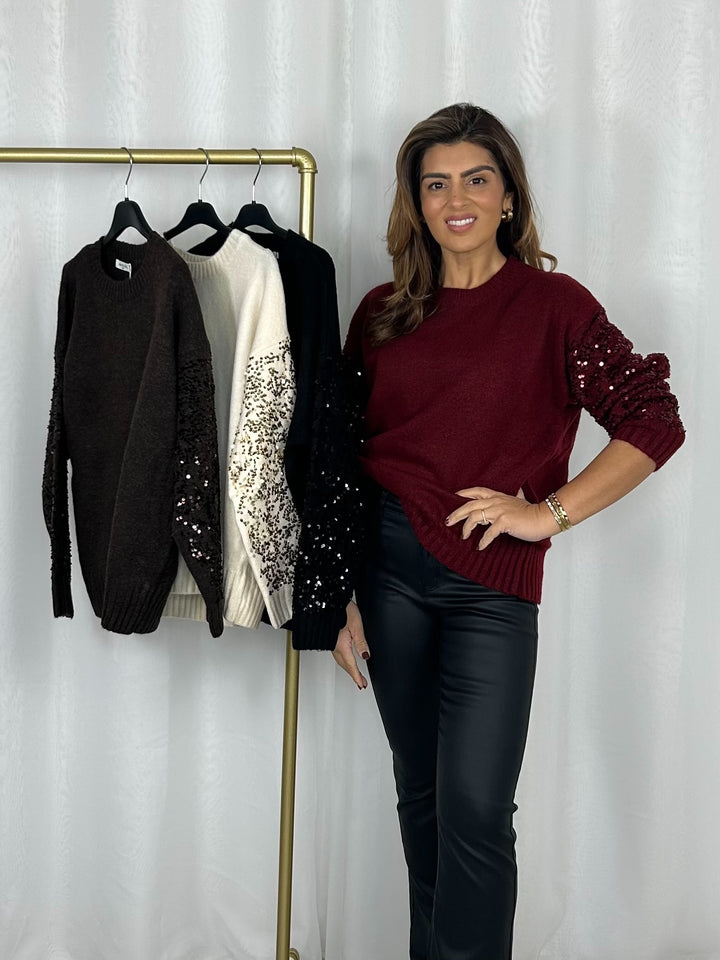 Soft Knit Round Neck Sequin Sleeve Jumper (4 Colours)