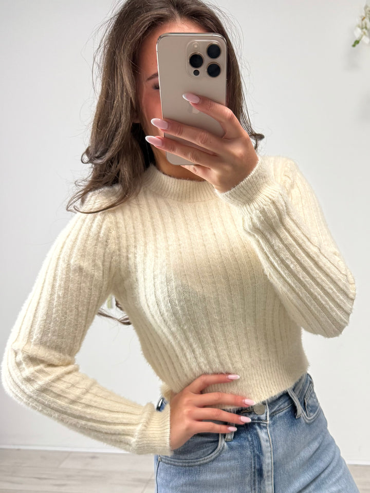 Ribbed Soft Fluffy Knit Round Neck Jumper (2 Colours)