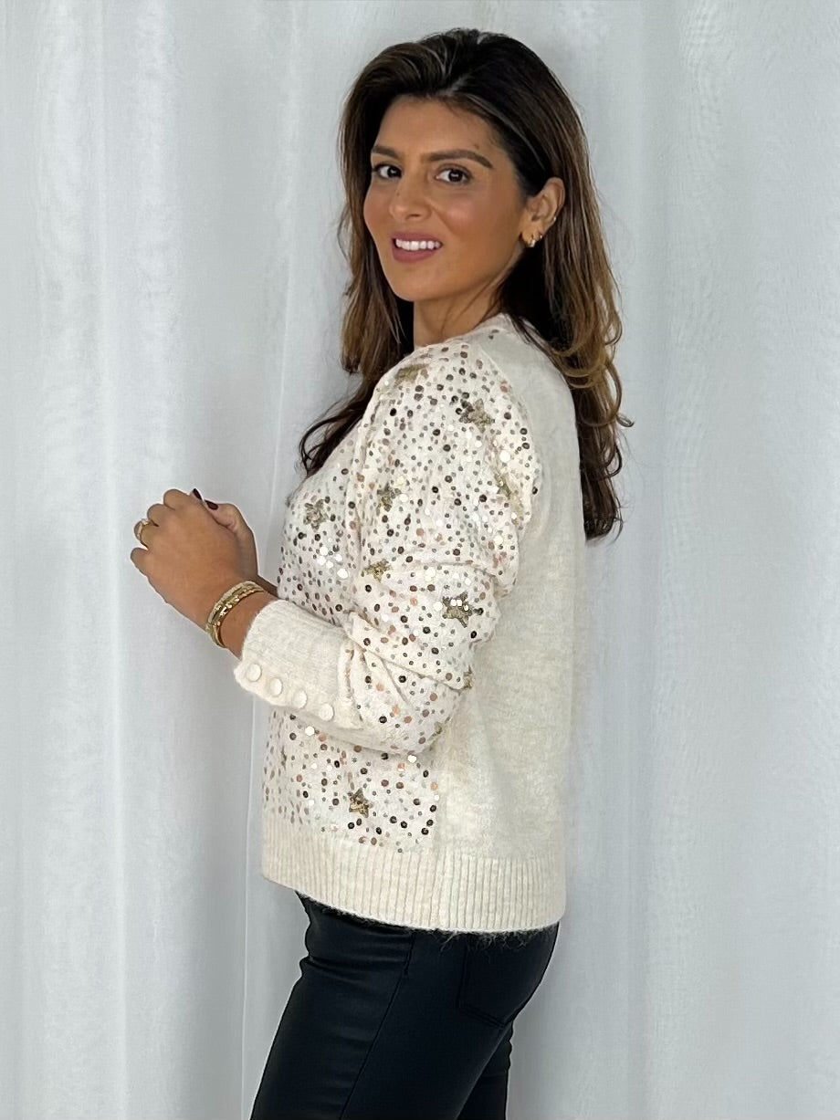 Gold Scattered Sequin & Star Detail Jumper (4 Colours)