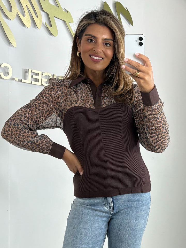 Sheer Leopard Print Long Sleeve Collared Top (2 Colours)