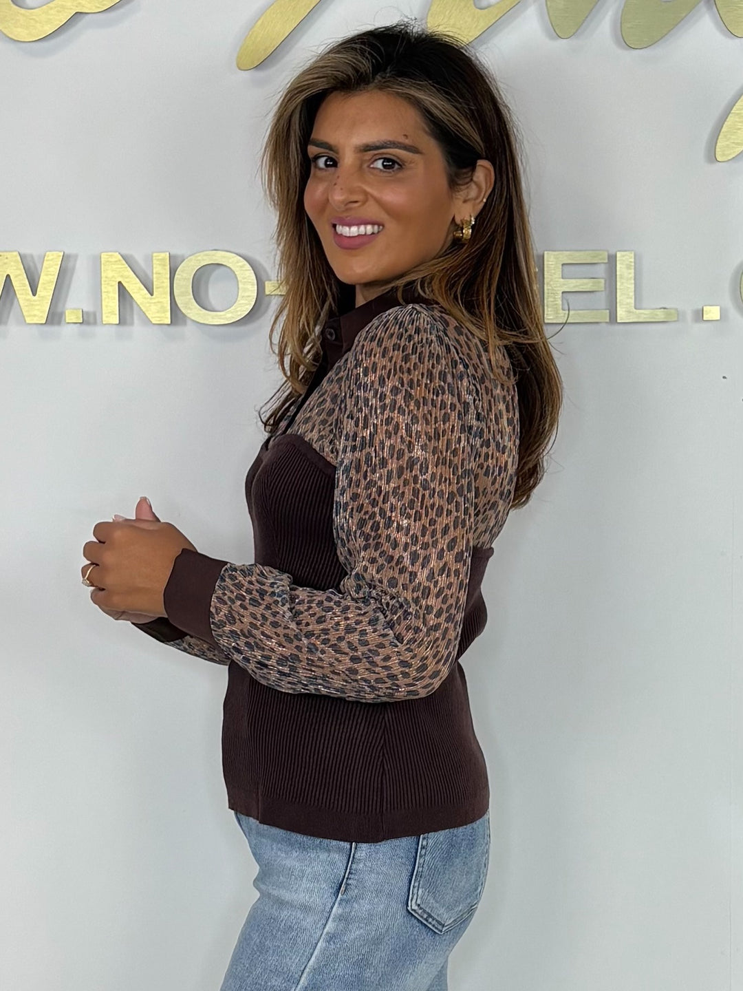 Sheer Leopard Print Long Sleeve Collared Top (2 Colours)
