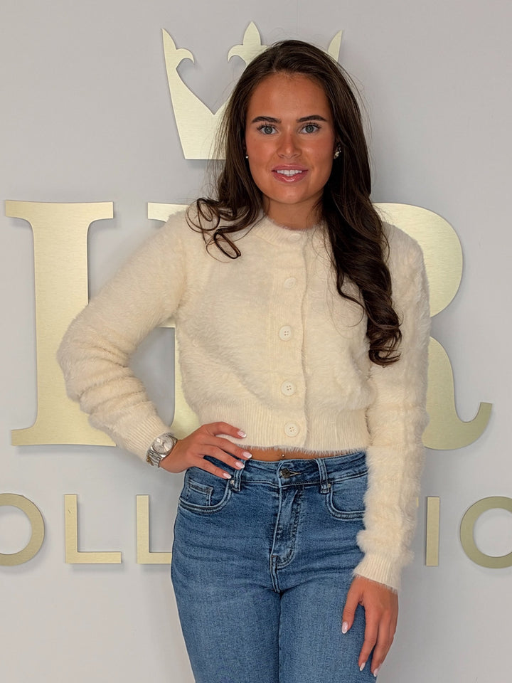 Fluffy Button Up Round Neck Cardigan (5 Colours)