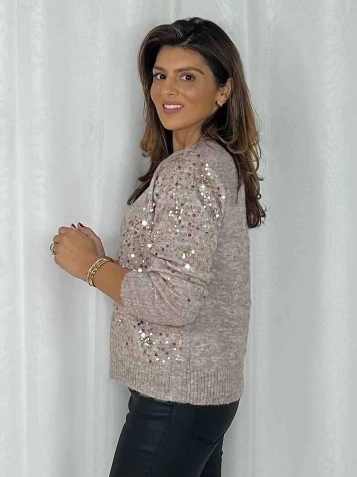 Gold Scattered Sequin & Star Detail Jumper (4 Colours)