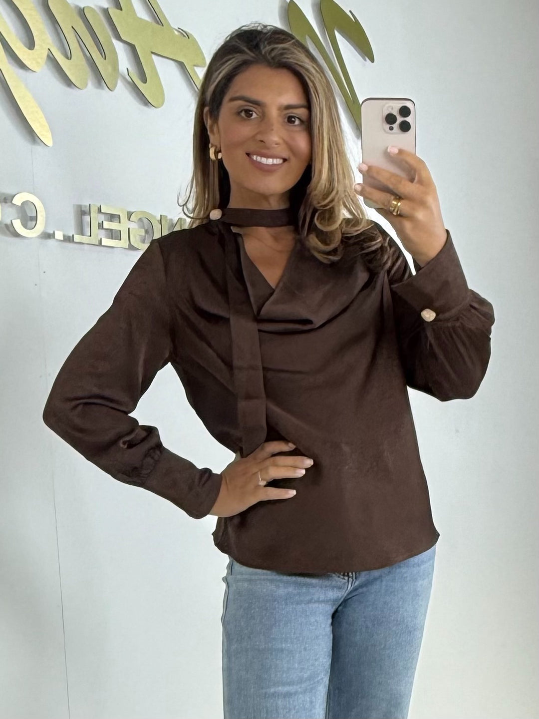 Choker Cowl Neck Silky Blouse (4 Colours)
