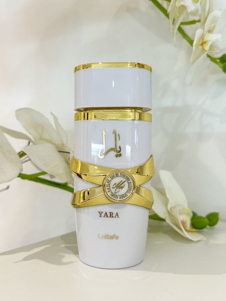 Yara Lattarfa Perume