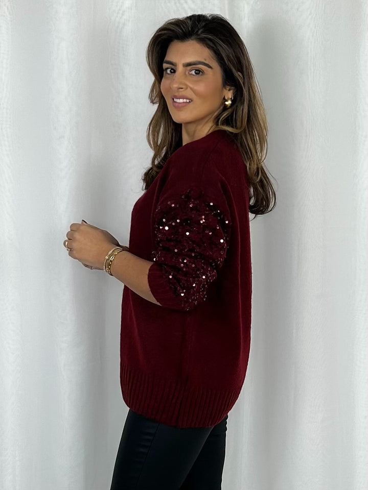 Soft Knit Round Neck Sequin Sleeve Jumper (4 Colours)