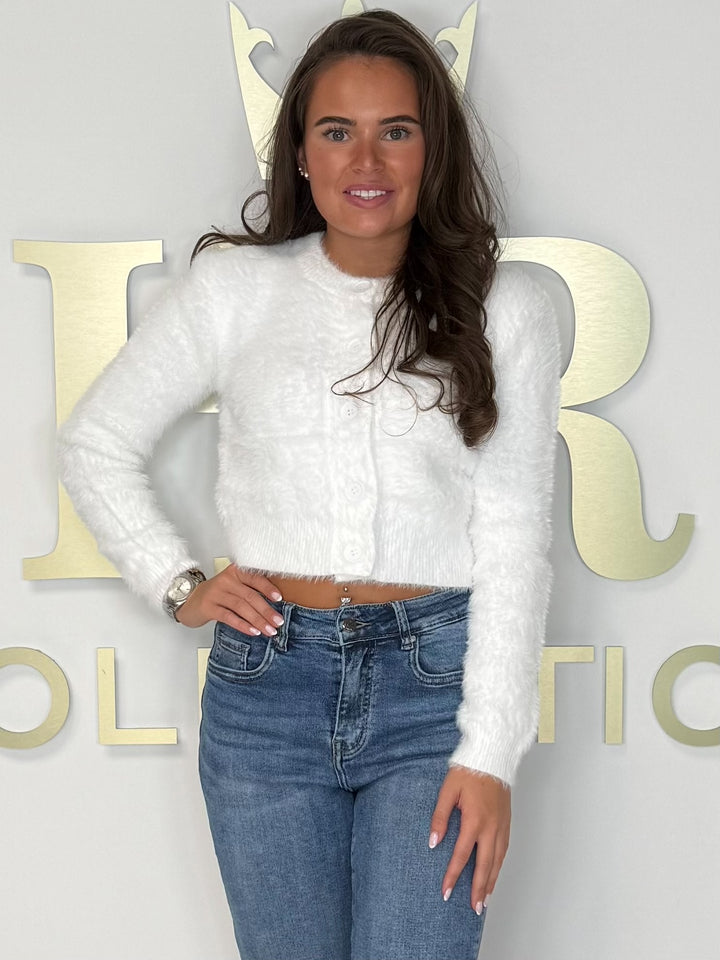 Fluffy Button Up Round Neck Cardigan (5 Colours)