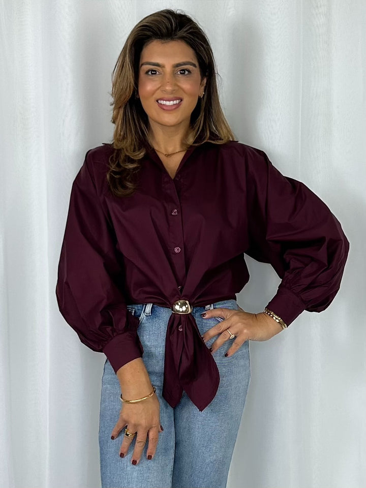 Collared Balloon Sleeve Gold Hardware Tie Front Shirt (4 Colours)