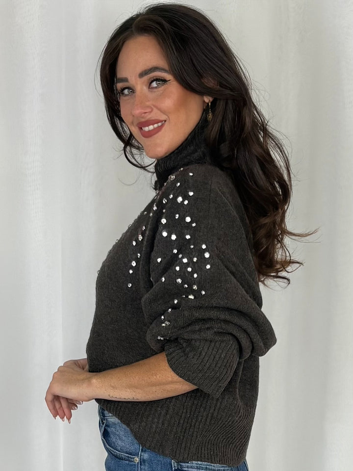 Jewelled Turtle Neck Jumper (2 Colours)