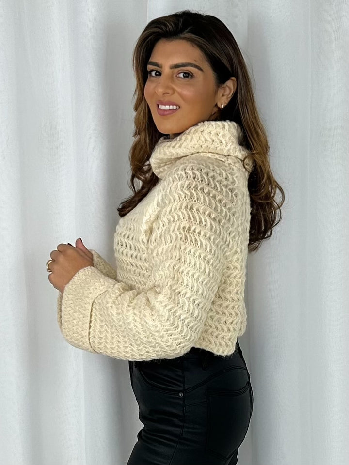 Roll Neck Knitted Cropped Jumper (4 Colours)