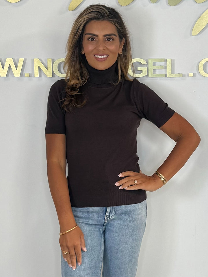 Soft Knit Short Sleeve Roll Neck Top (3 Colours)