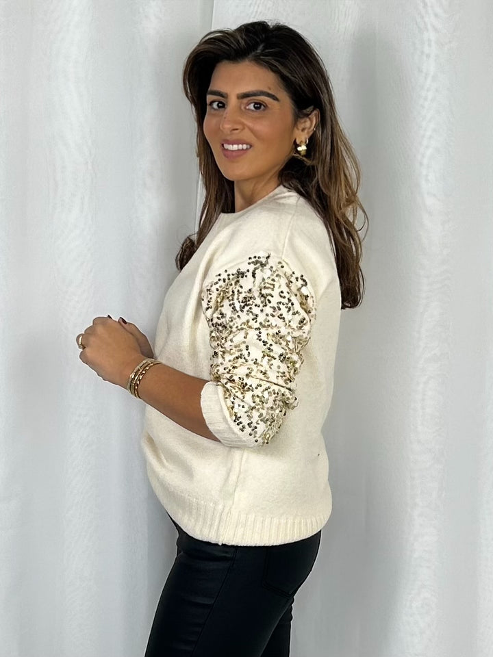 Soft Knit Round Neck Sequin Sleeve Jumper (4 Colours)