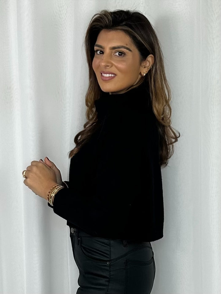 Roll Neck Cable Design Soft Knit Cropped Jumper (4 Colours)