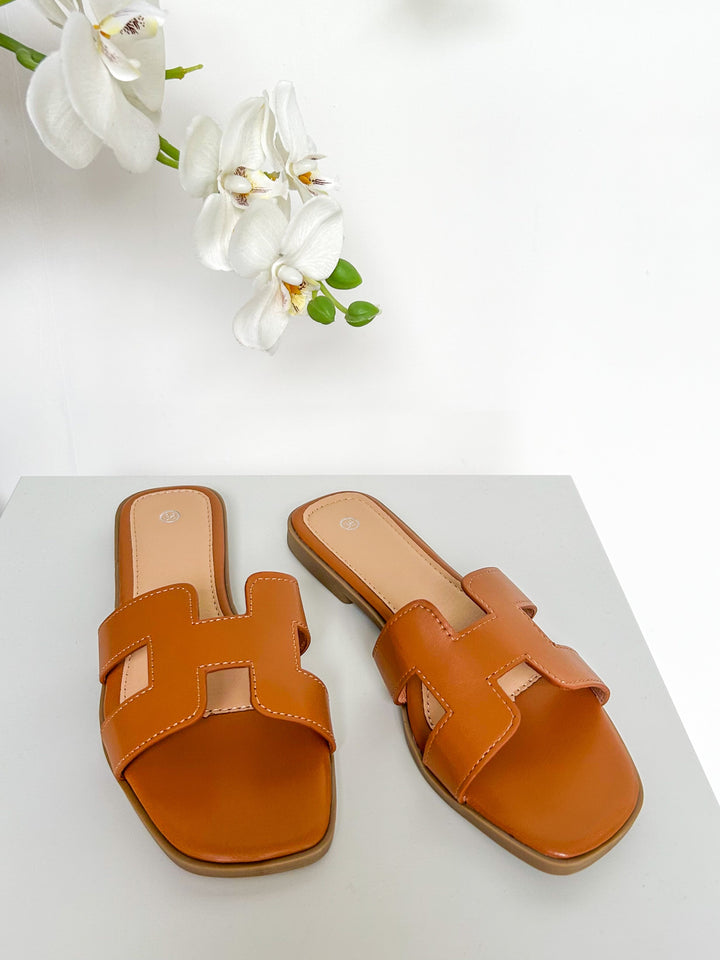 Nicolas Sliders (22 Colours)