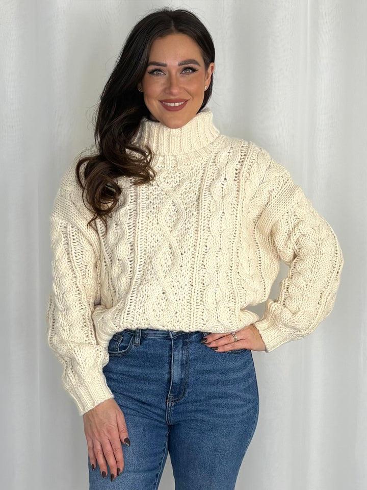 Chunky Cable Knit Roll Neck Jumper (4 Colours)