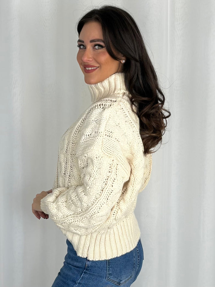 Chunky Cable Knit Roll Neck Jumper (4 Colours)