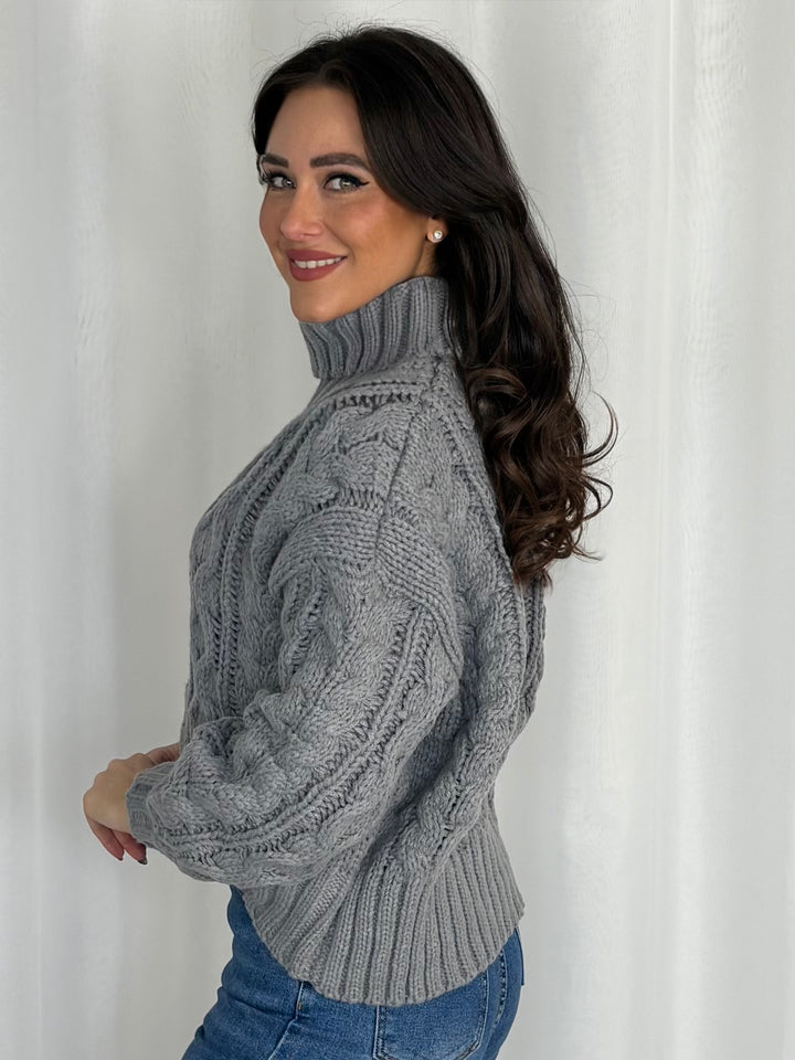 Chunky Cable Knit Roll Neck Jumper (4 Colours)