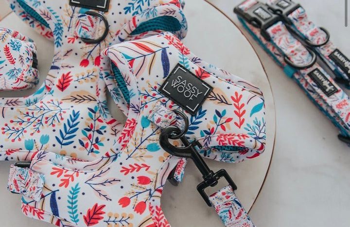 Pawfect Petals Harness
