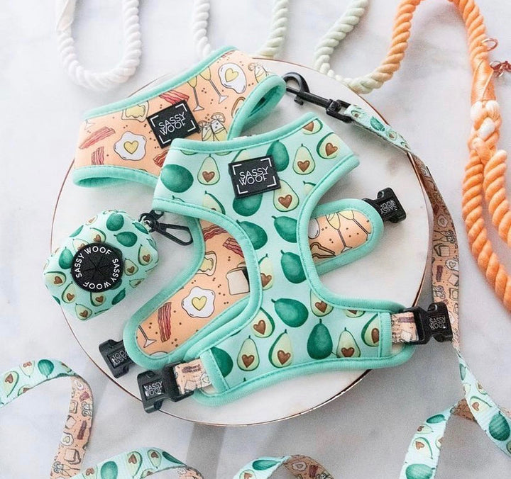 Dolce rose reversible harness