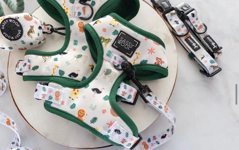 Dolce rose reversible harness
