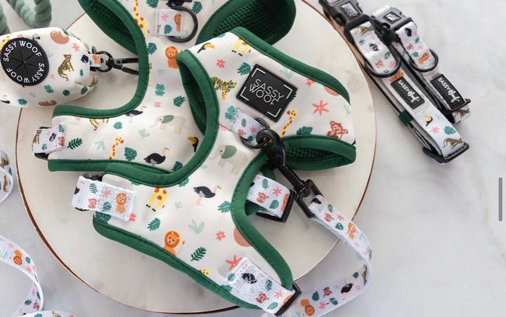 Dolce rose reversible harness