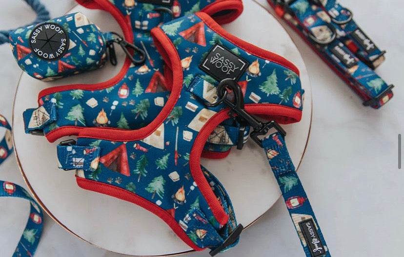 Woof scout Harness