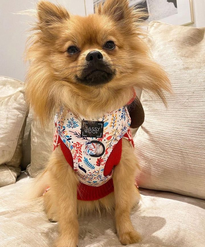 Peach please Harness