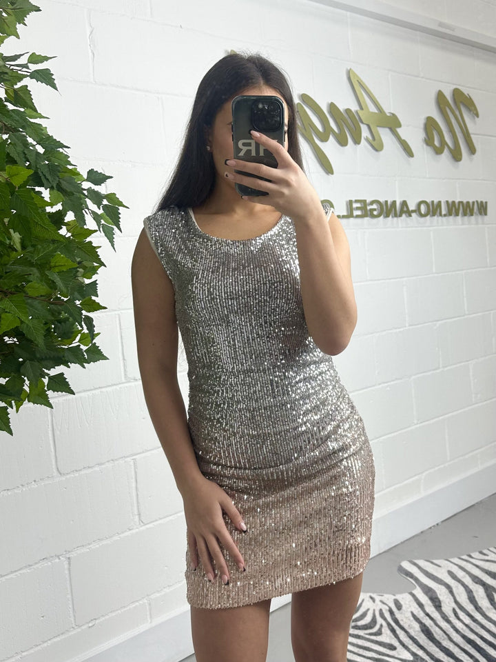 Silver And Rose Gold Two Tone Mini Dress