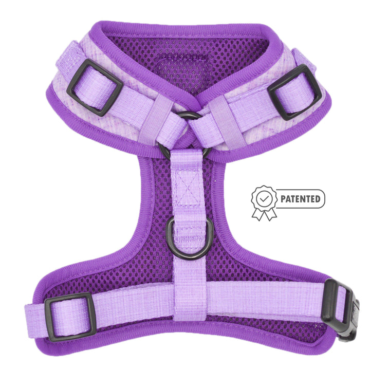 Lilac aurora harness