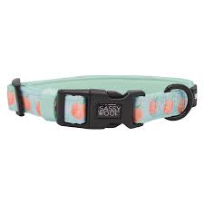 peach please dog collar