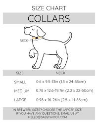 peach please dog collar
