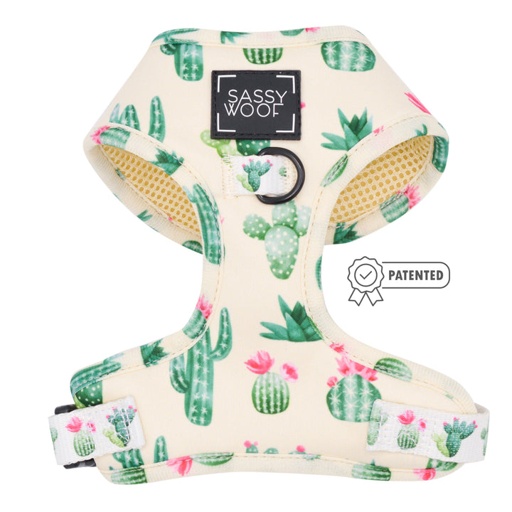 sass on point harness